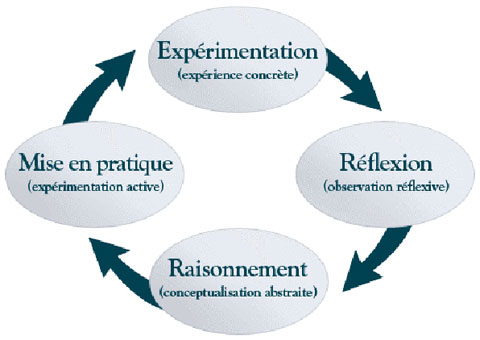 Figure 1, Processus d'apprentissage de Kolb et Fry 